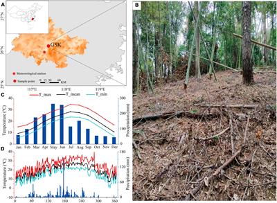 Intra-annual dynamic of opposite and compression wood formation of Pinus massoniana Lamb. in humid subtropical China